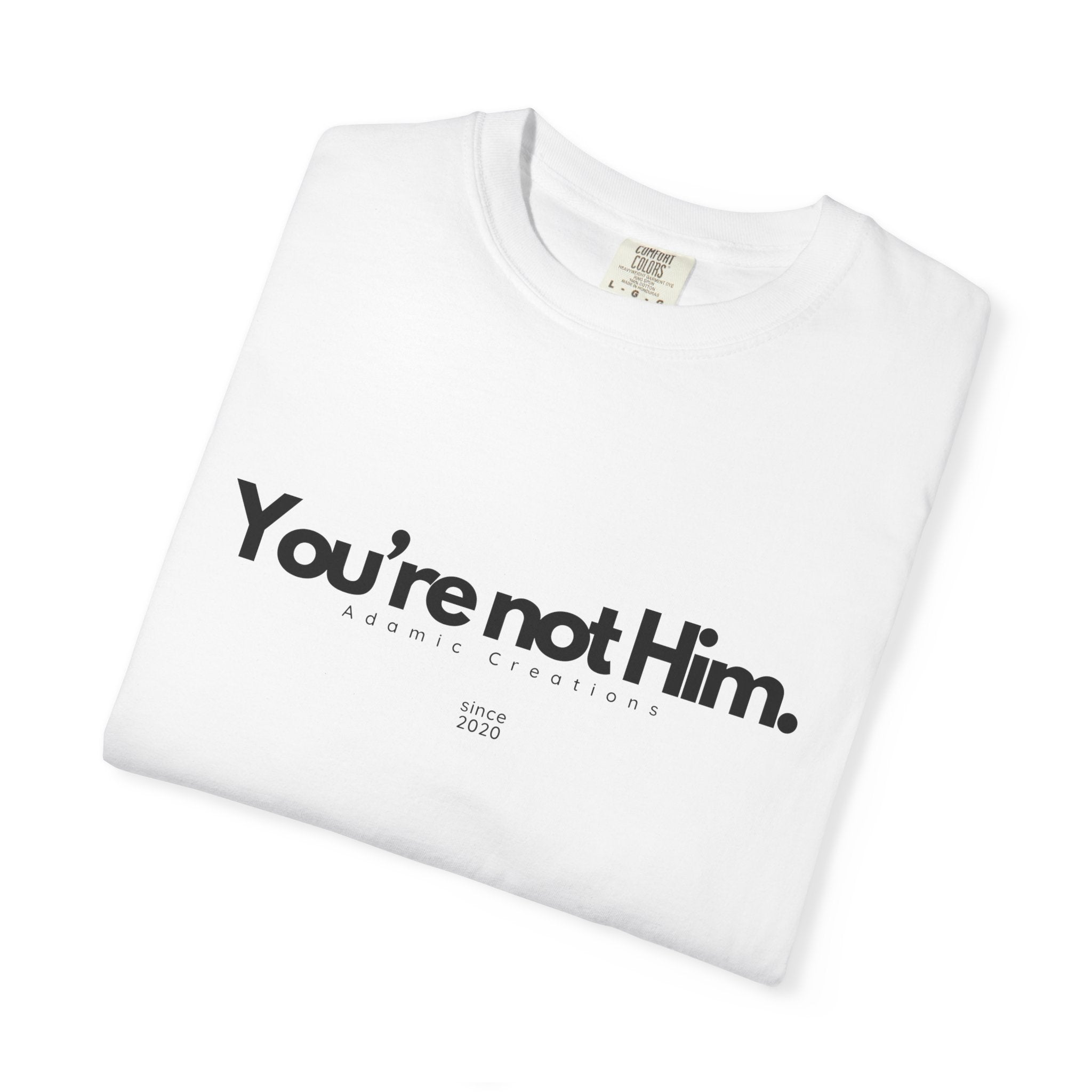 You're Not Him T-shirt | Statement Tee, Text Graphic