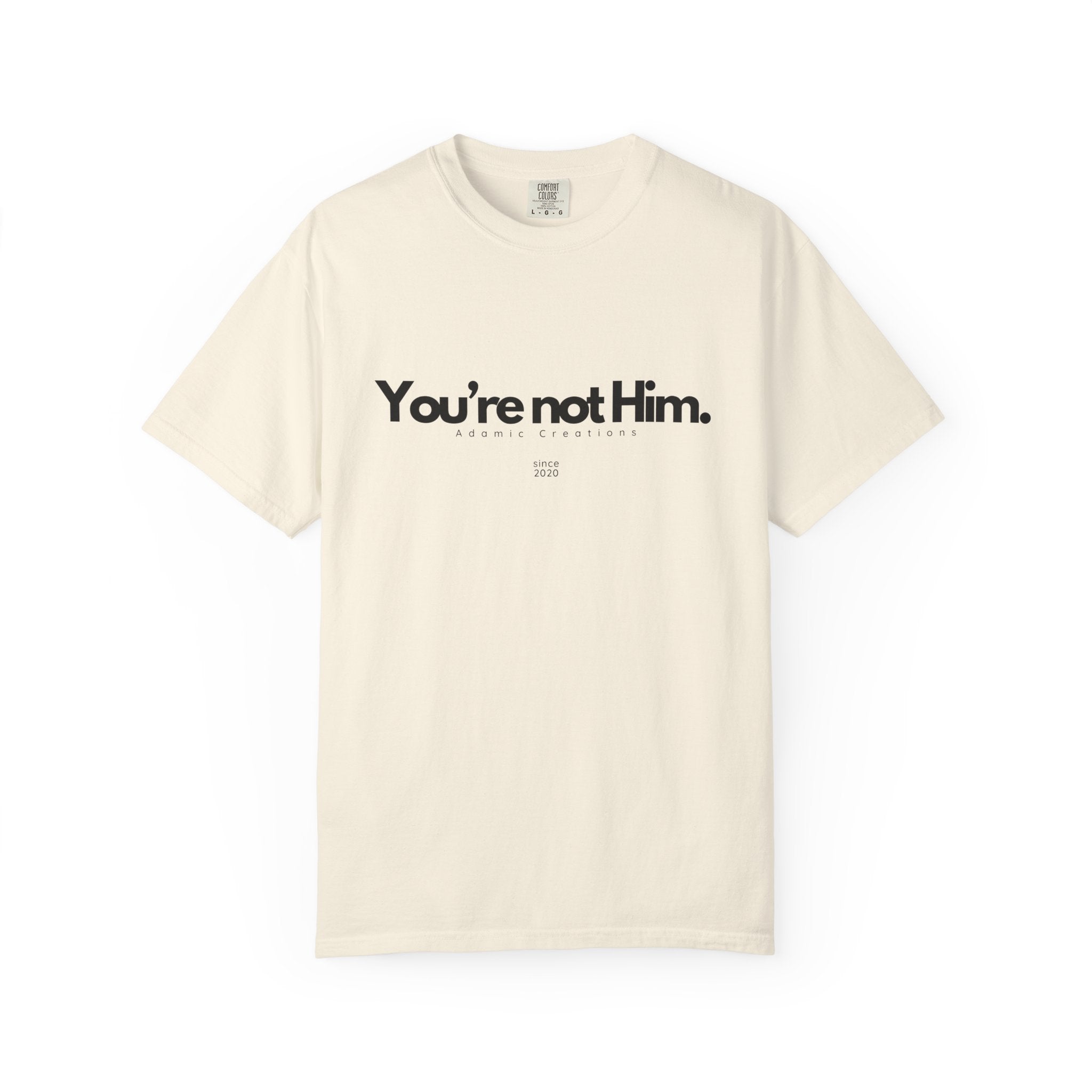 You're Not Him T-shirt | Statement Tee, Text Graphic