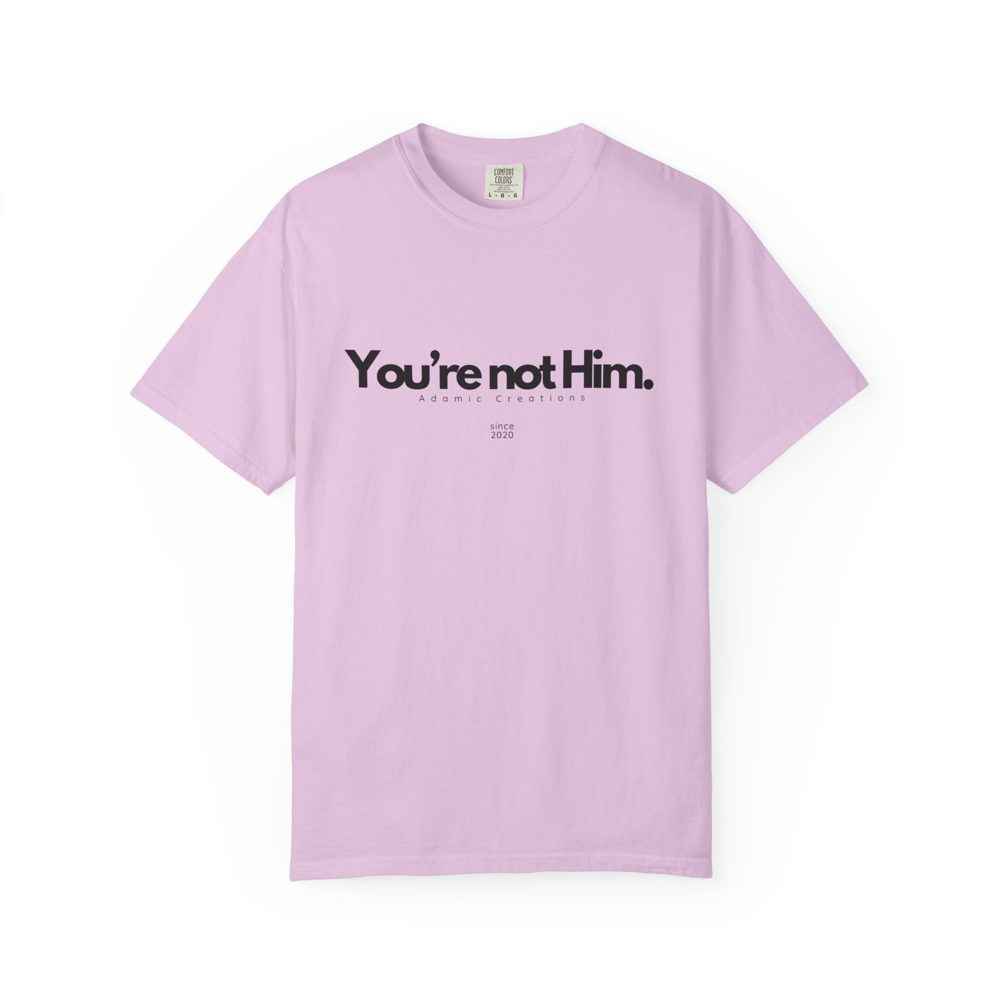 You're Not Him T-shirt | Statement Tee, Text Graphic