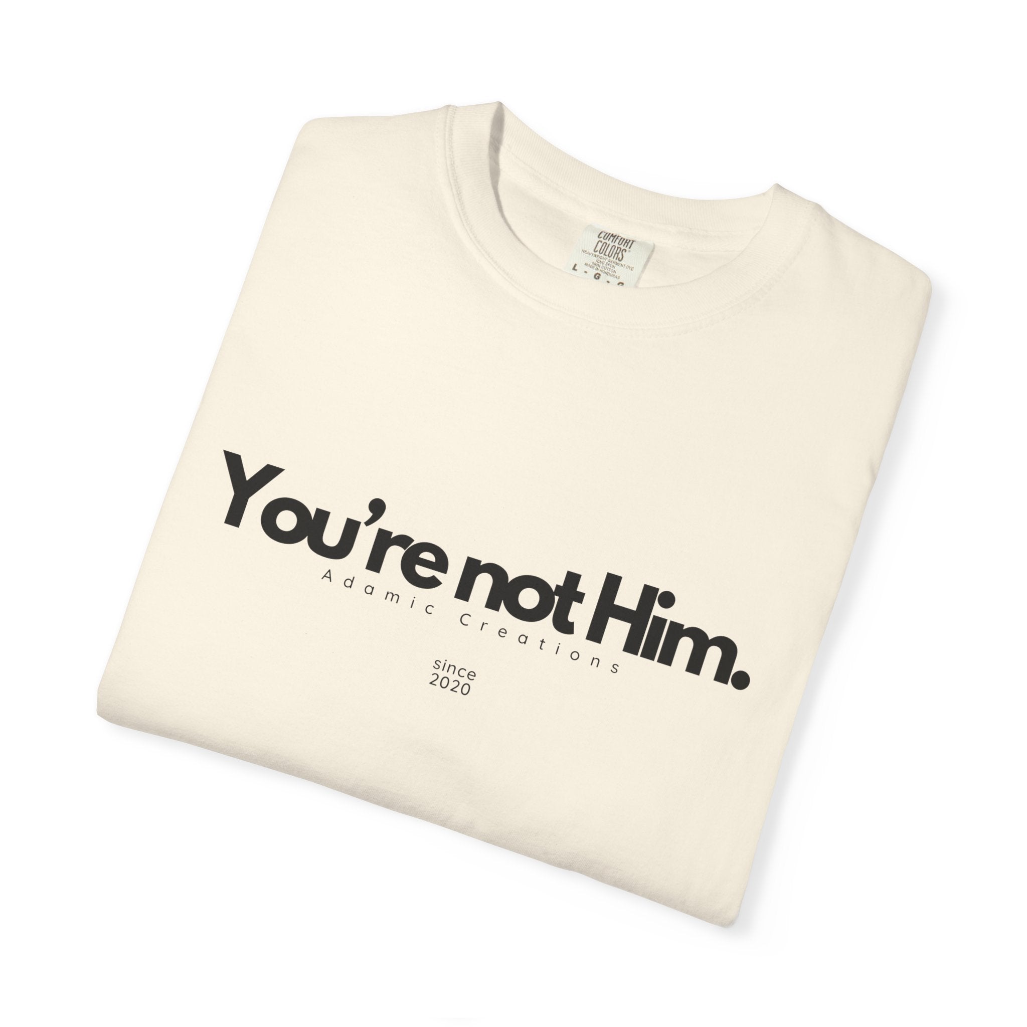 You're Not Him T-shirt | Statement Tee, Text Graphic