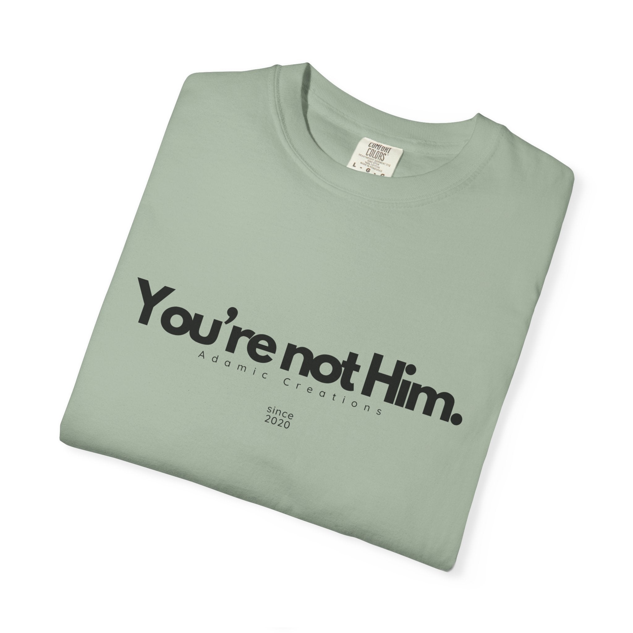 You're Not Him T-shirt | Statement Tee, Text Graphic
