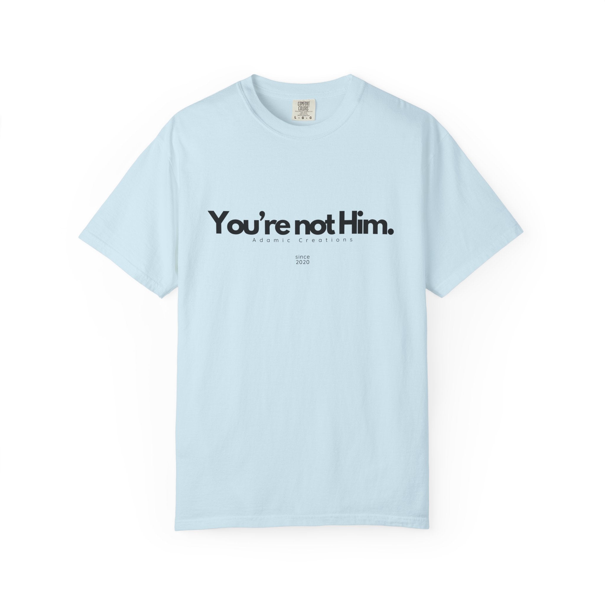You're Not Him T-shirt | Statement Tee, Text Graphic