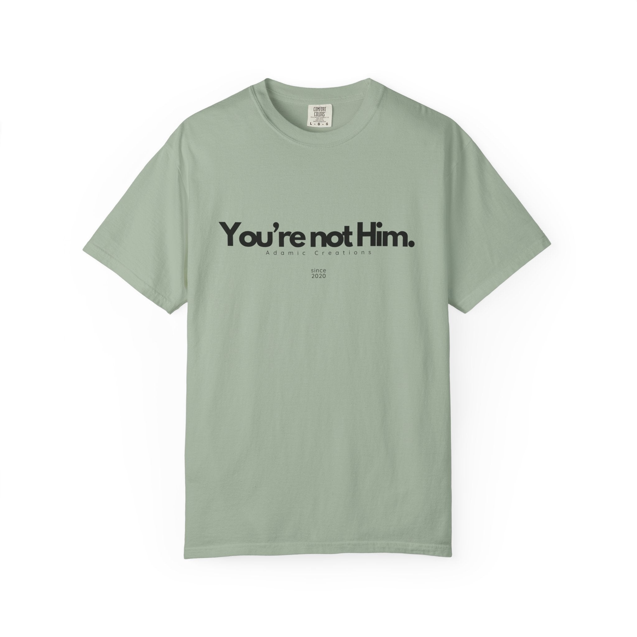 You're Not Him T-shirt | Statement Tee, Text Graphic