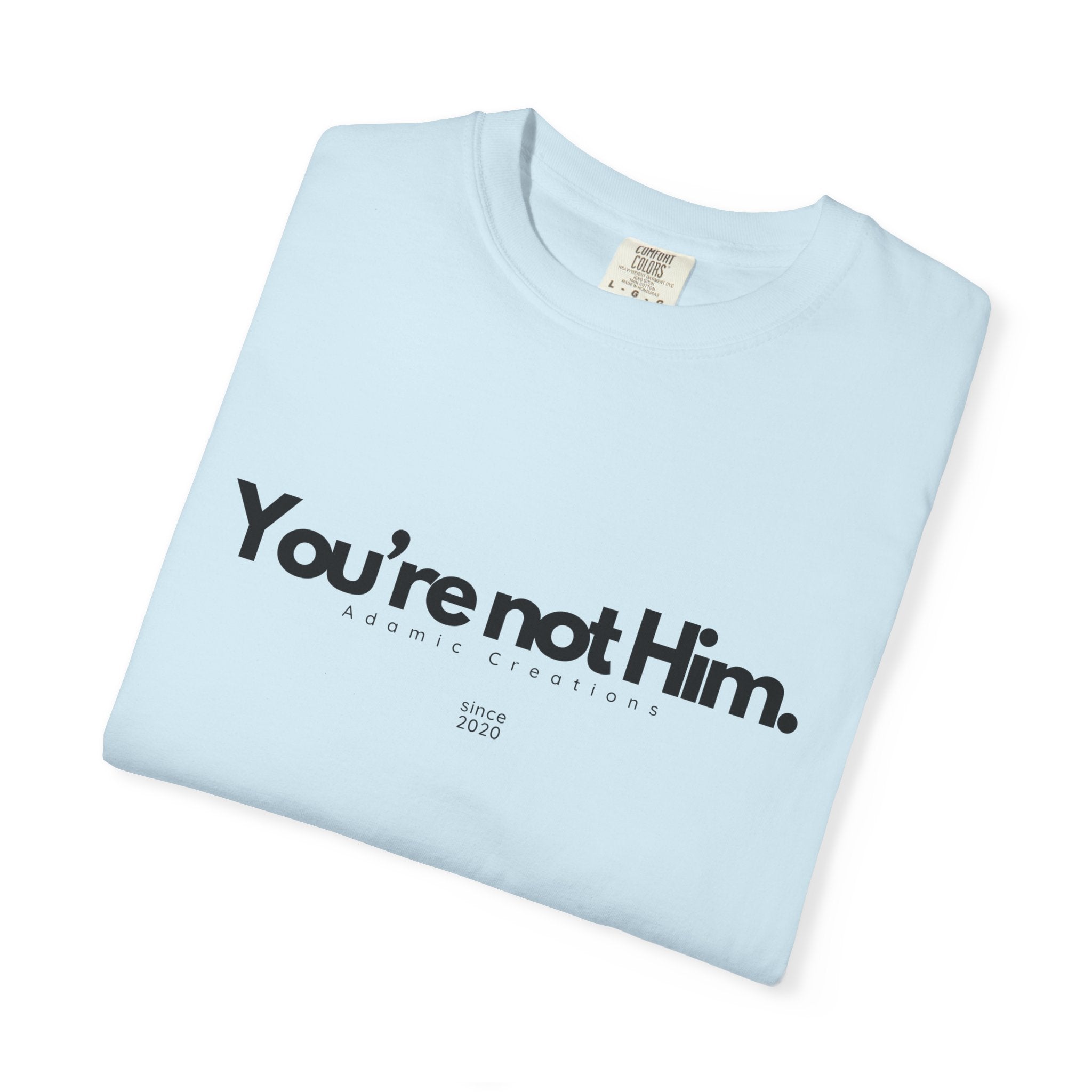 You're Not Him T-shirt | Statement Tee, Text Graphic