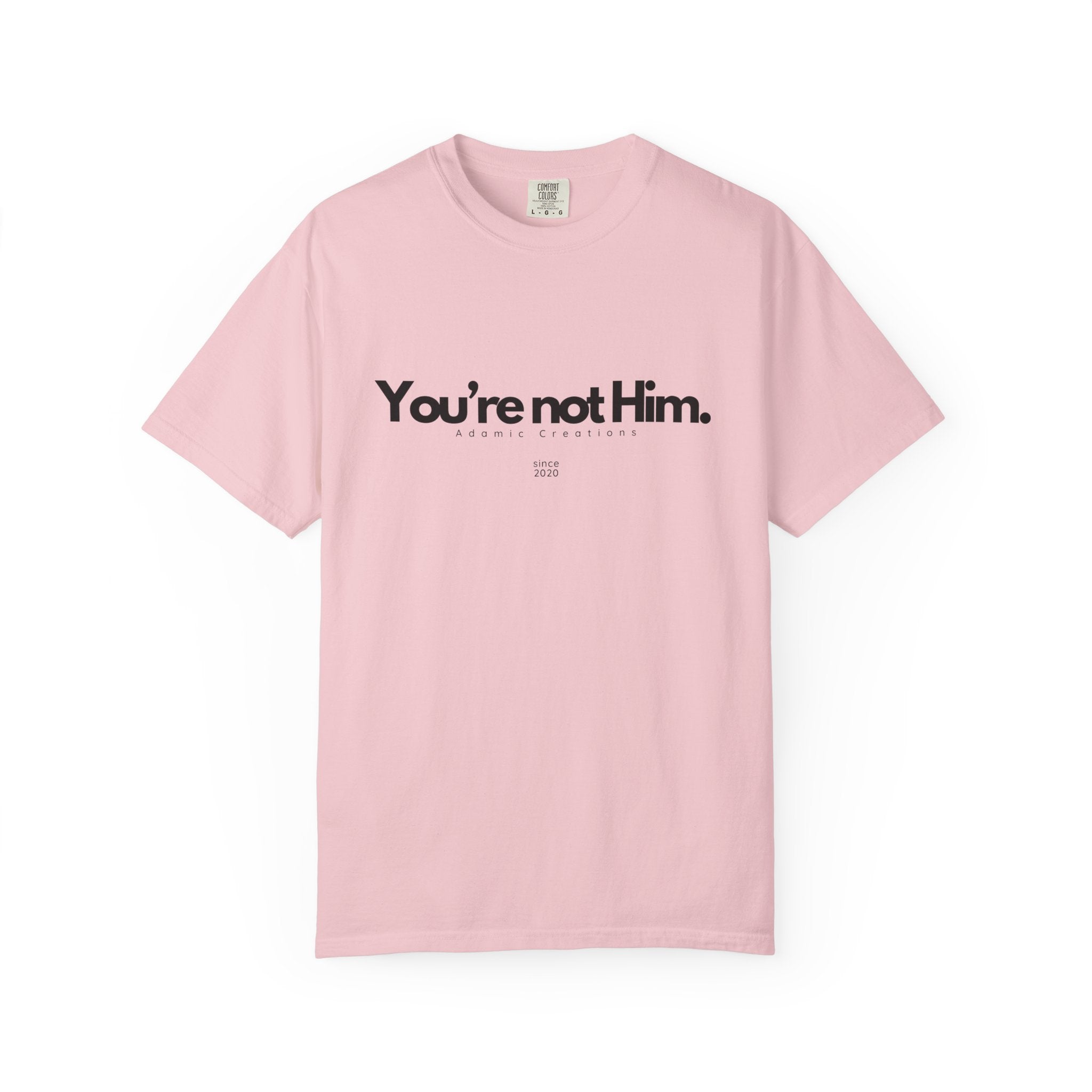 You're Not Him T-shirt | Statement Tee, Text Graphic